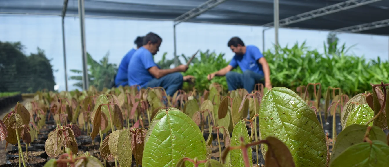 Imagem de pessoas em um projeto social