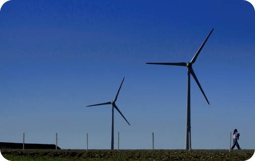 Imagem do Complexo Eólico Cerro Chato
