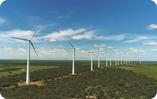 Imagem do Complexo Eólico Casa Nova