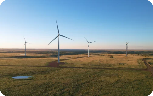 Imagem do Complexo Eólico Coxilha Negra